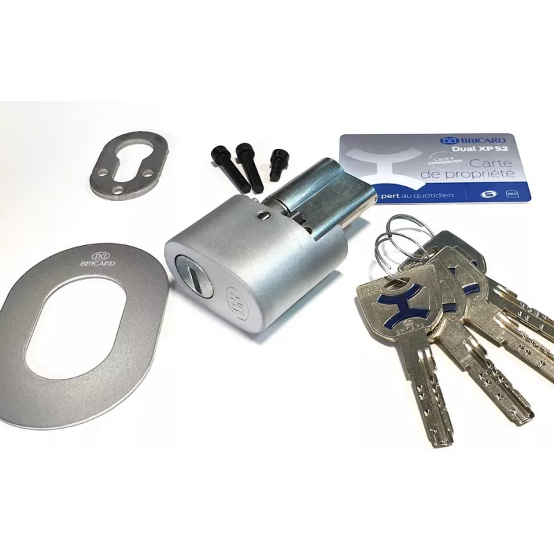 Bricard Dual XP S2 pour serrure 8162 – Image 2